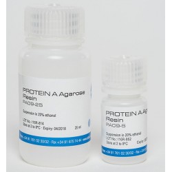Protein A Agarose Resin