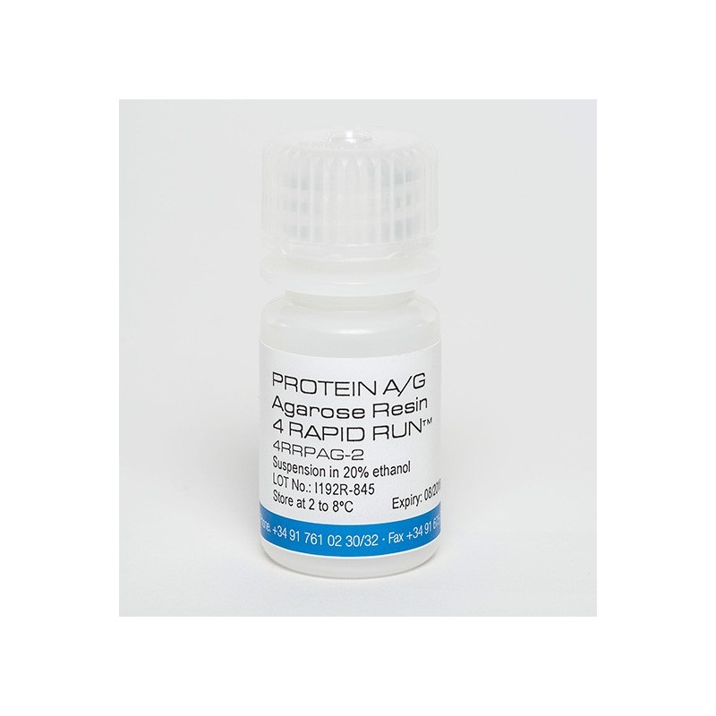Protein A/G Agarose Resin 4 Rapid Run™